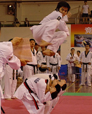 2008年深圳市跆拳道品势比赛冠军赛